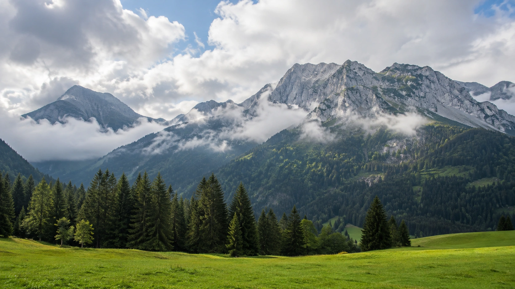 Österreichische Alpenlandschaft mit Bergwiesen, Fichtenwald und tiefen Wolken an den Hängen.